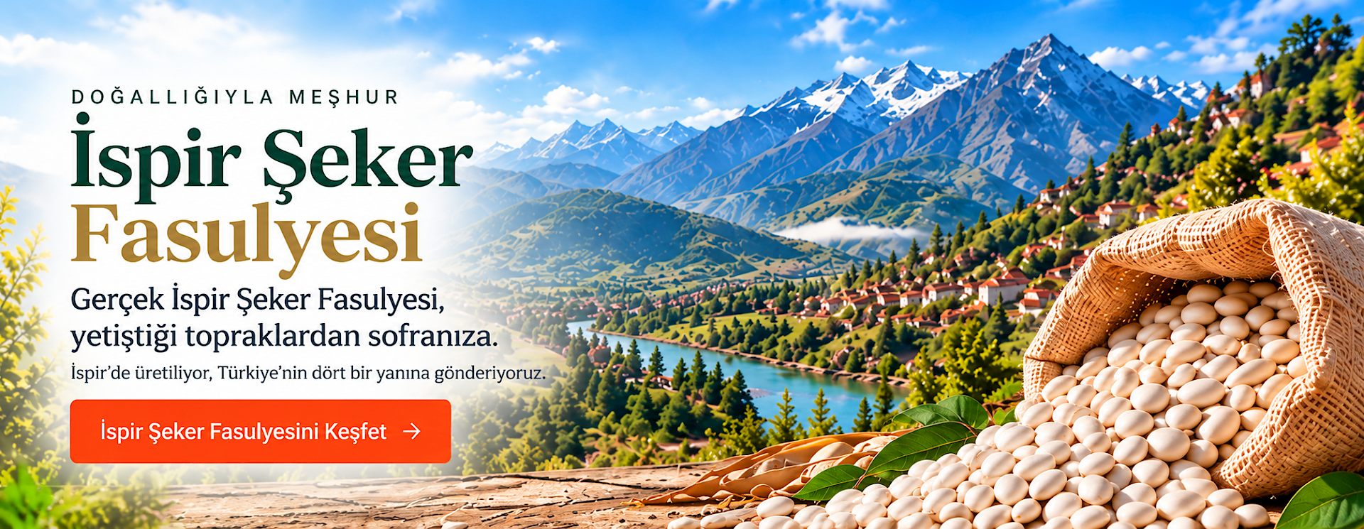 �spir �eker Fasulyesi - Do�adan Sofraya