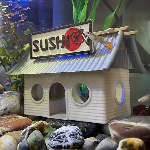 Akvaryum Dekor Sushi Shop