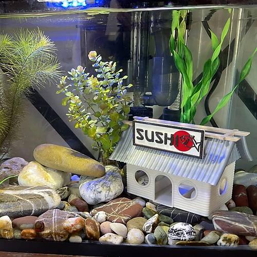Akvaryum Dekor Sushi Shop
