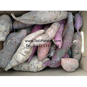 TATLI PATATES 6 KG KOL�