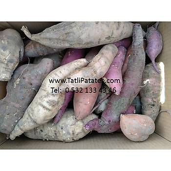 TATLI PATATES 6 KG KOL