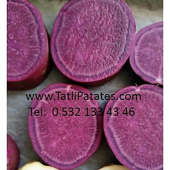6 kg MOR TATLI PATATES KOL