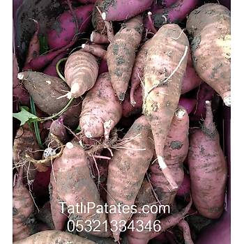 Tatl Patates 3 kg