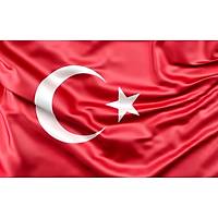 T�rk bayra�� �e�itleri