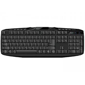 Everest KB-250U Siyah Usb MMedya Q Klavye