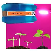 Tam Spektrum 50W 220V COB LED Chip anak Bitki Bytme Fito Ik