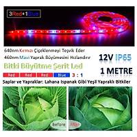 Tam Spektrum Hidrofonik Fito Sera Bitki Bytme 5050 WP erit LED Ik 3 Red 1 Blue