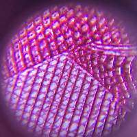 Mini Mikroskop Cep Büyüteç 60X Cam Mercek 2 LED 1 UV Işık Çantalı