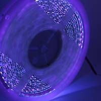 UV Şerit LED 3528 SMD 120/m Su Geçirmez 1mt 12V