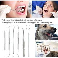 Paslanmaz Çelik Diş Oral Bakım 6 lı Set Ayna Orak Skaler Spatula Kazıma Cımbız