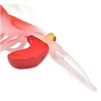 PROFISHER TPR Fosforlu Silikon Sahte Yem 10 cm 20 gr 5 Eklem