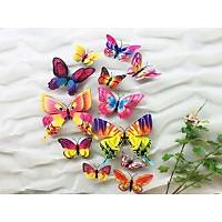 3D PVC Manyetik Kelebek 12 li Duvar Ssleme Dekorasyon Model E1