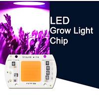 Tam Spektrum 380-840nm UV LED COB Topraksz Tarm Bitki Bytme 50W 220V 
