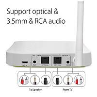 Dijital Optik RCA AUX Port