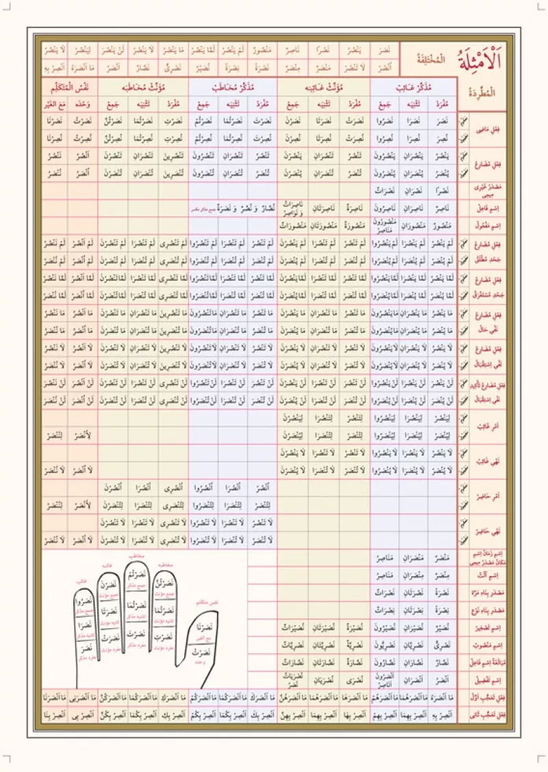 Emsile Bina Şeması Ali Kara Kitap Kalbi Yayıncılık