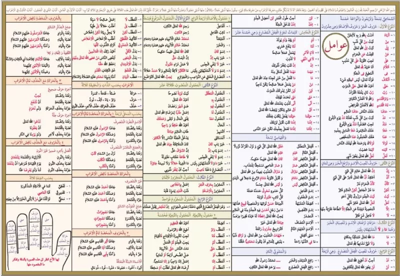 Avamil Şeması Ali Kara Kitap Kalbi Yayıncılık