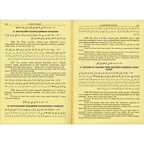 Süneni Tirmizi Tercümesi, 3 Cilt