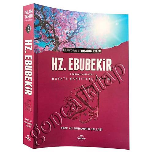 Hz.Ebubekir (ra) Hayatı, 2. HAMUR KARTON RAVZA