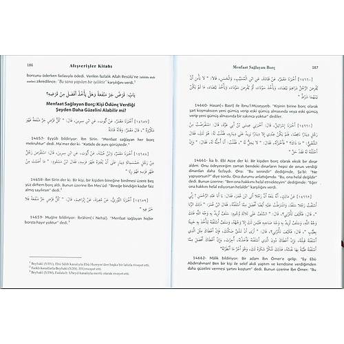 Musannef, 12 Cilt, Abdurrezzak es Sanani