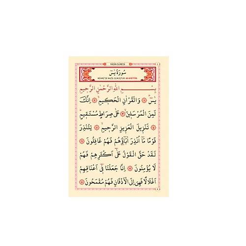 Orta AYFA 141 Çok Kolay Okunabilen iri Yazılı Yasin