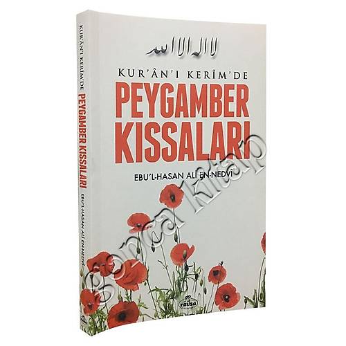 Kuranı Kerimde Peygamber Kıssaları Ravza