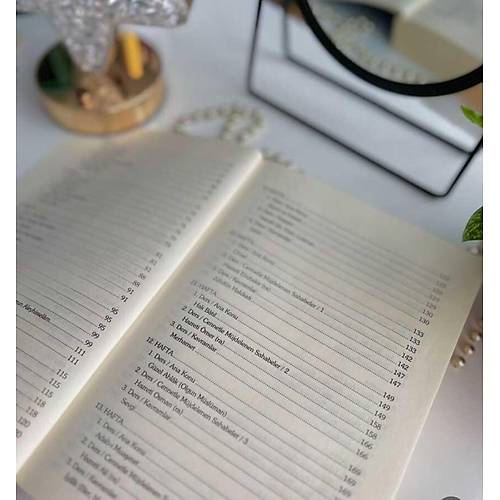 Başarı ve Huzurun Gerçek Yolu Necmeddin Salihoğlu RAVZA