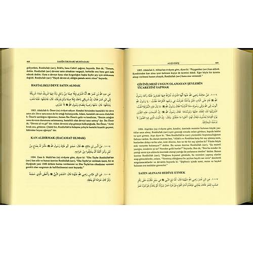 Sahihi Buhari Muhtasarı ve Sahihi Müslim Muhtasarı