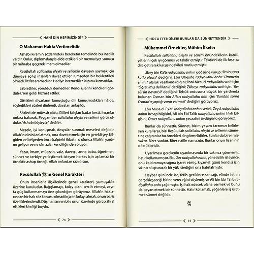 Hani Din Hepimizindi