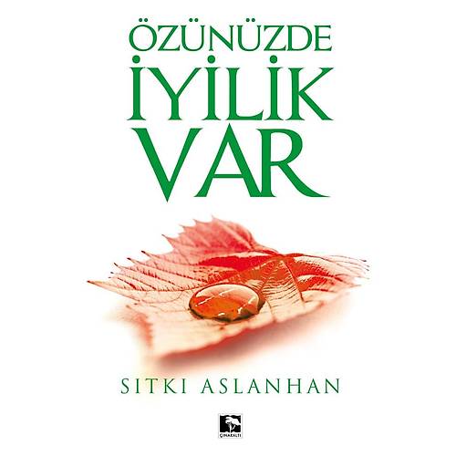 Özünüzde İyilik Var Sıtkı Aslanhan Kalın Ciltli