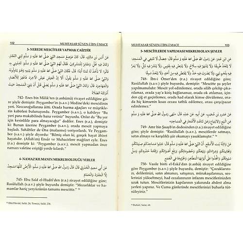 Muhtasar Süneni İbn-i Mace Tercümesi