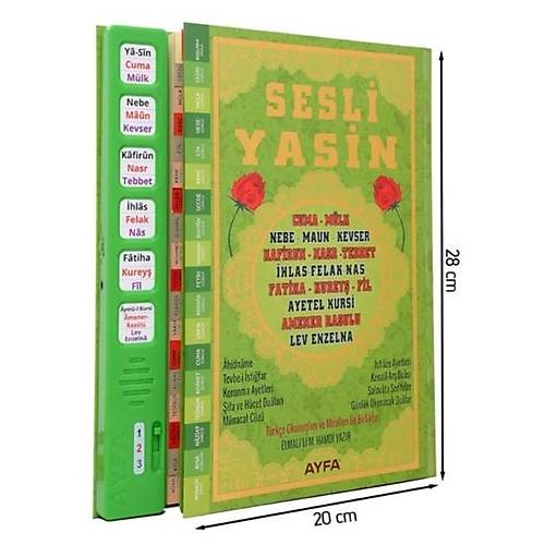 Sesli Yasini Şerif Yeşil Ayfa507