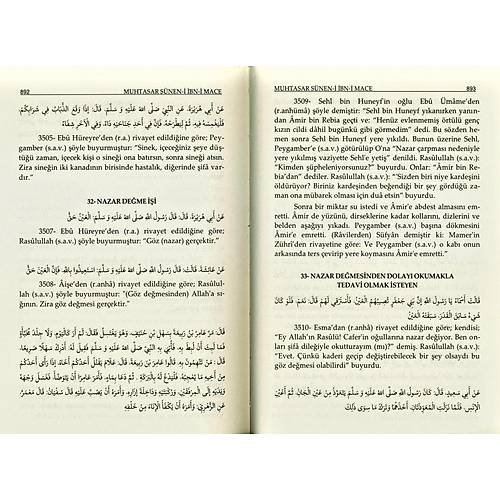 Muhtasar Süneni İbn-i Mace Tercümesi