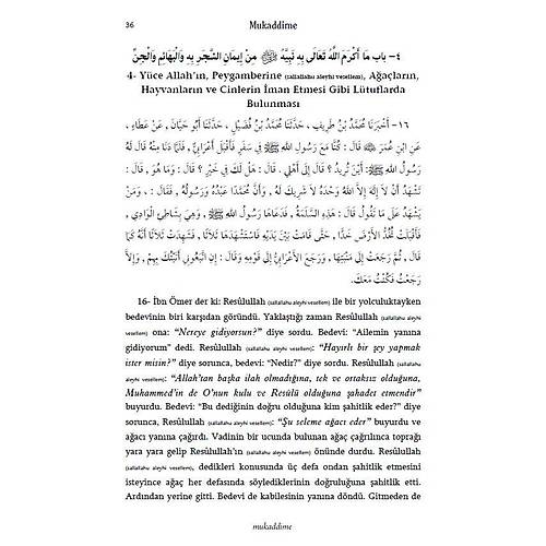 Sünen veya Müsned / Darimi 3 Cilt Set Ocak Yayın