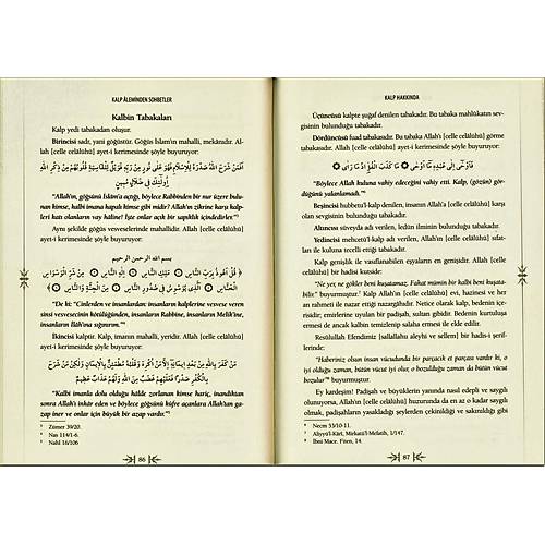 Muallim Yayın Kalp Aleminden Sohbetler Tefcirut Tesnim Fi Kalbin Selim