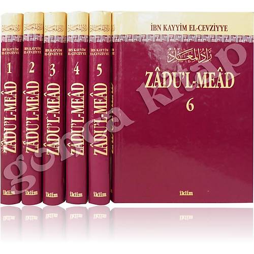 Zadul Mead, Rasulullahın Yolunda 6 Cilt Takım