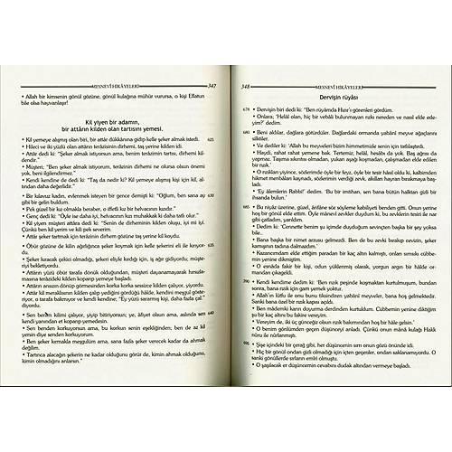 Mesnevi Hikayeleri efik Can TKEN