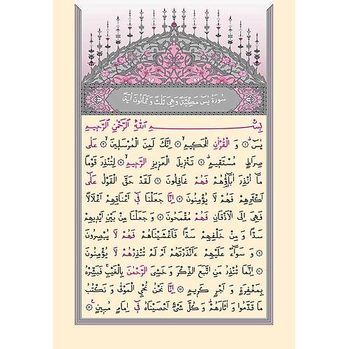 Rahle Boy Mealli Hayrat Ne�riyat Yasini �erif C�z� YS0034