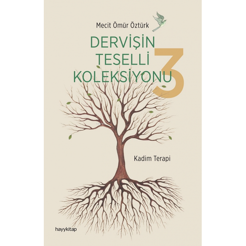 Derviin Teselli Koleksiyonu 3 Mecit mr ztrk