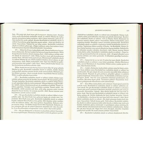 Peygamberlik M�jdeleri ve Mucizeleri