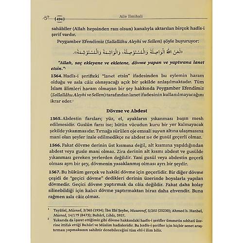 Aile �lmihali �smaila�a F�k�h Kurulu