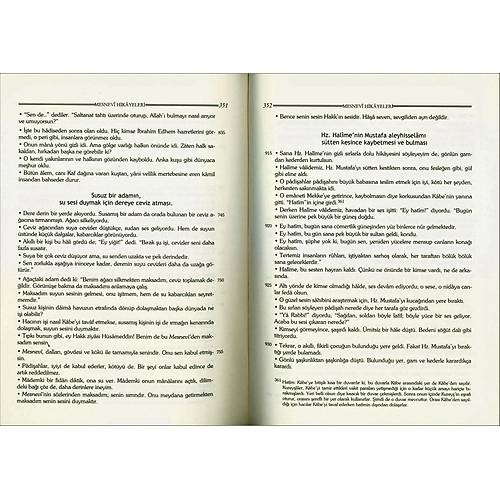 Mesnevi Hikayeleri efik Can TKEN