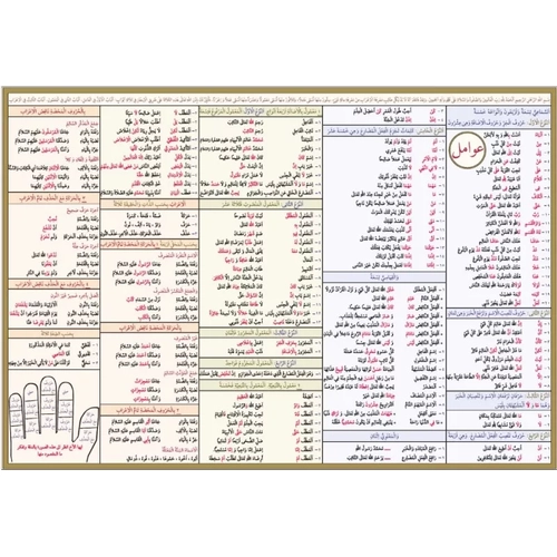 Avamil �emas� Ali Kara�Kitap Kalbi Yay�nc�l�k