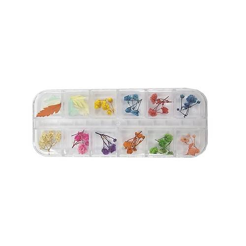 Nail Art Manikr Trnak Ssleme Kuru iek 12li Set