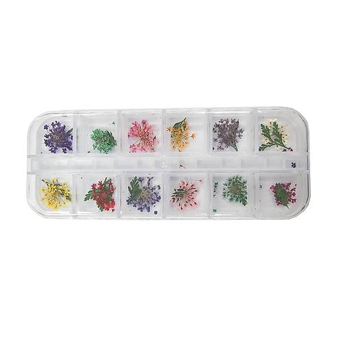 Nail Art Manikr Trnak Ssleme Yaprakl Kuru iek 12li Set