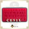 G�rsel 1