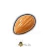Premium Mini Badem Silikon Kal�b� (16 G�zl�)
