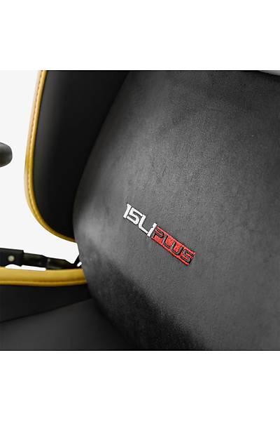 xDrive 15'Li Plus Profesyonel Oyuncu Koltuu Sar/Siyah