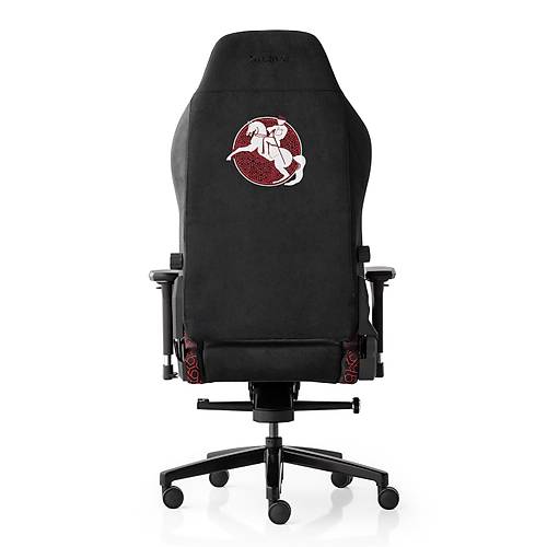 xDrive Altay Profesyonel Oyuncu Koltu�u 19 May�s �zel Seri