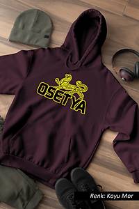 G�rsel 13