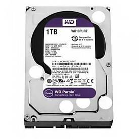 Western Digital Purple 1TB SATA3 5400 RPM 3.5